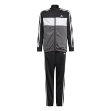 adidas Tracksuit Essentials Tricot (100% Polyester) black/white Boys